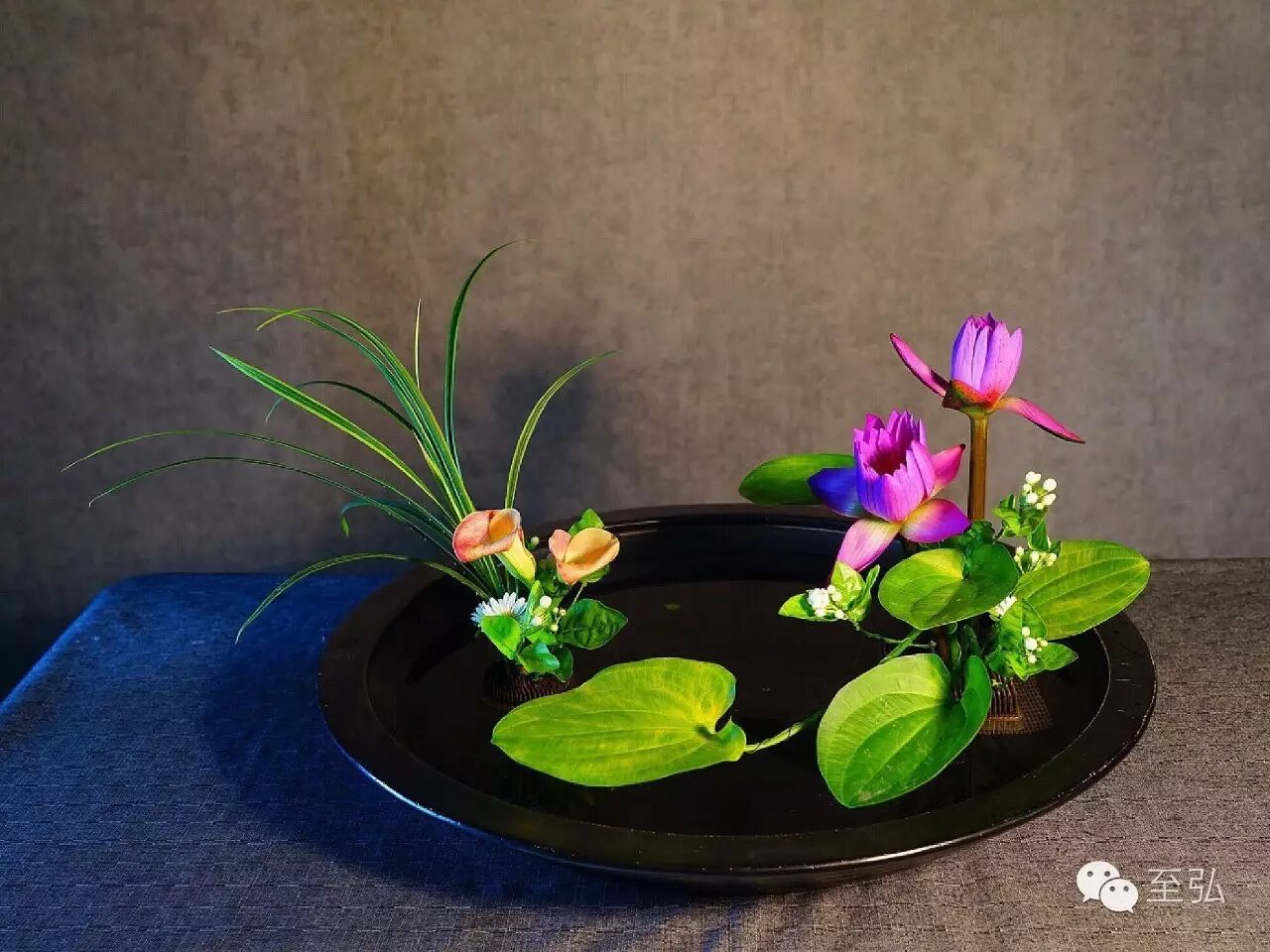 至弘 中华花艺欣赏 至弘世家