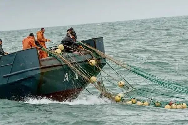 中国渔民立大功！意外捞到价值5000亿“巨宝”，并且拒绝归还