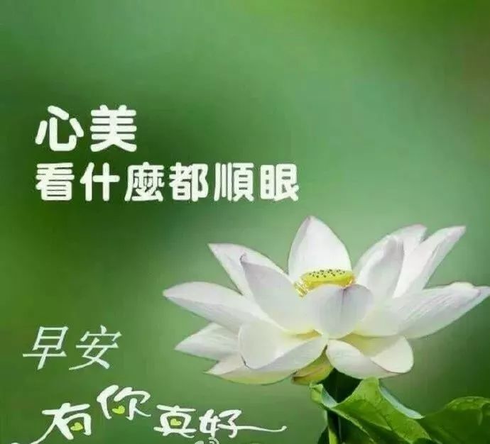 朋友圈早安温馨祝福句子秋天问候 天冷了暖人心扉早安问候句子 经典情感爱情名言 微信公众号文章阅读 Wemp