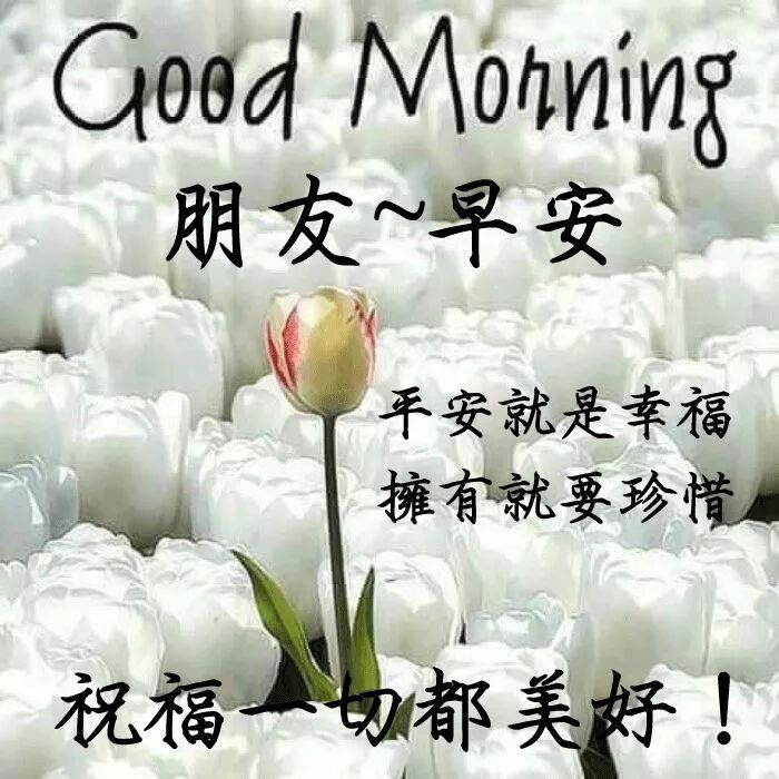 清晨早上好问候祝福语表情动态图片 早安超好看早安图片问候祝福语 经典情感爱情名言 微信公众号文章阅读 Wemp