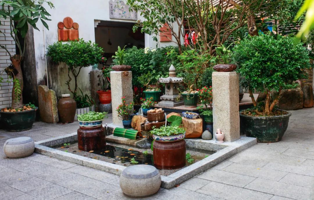 2.大布村省“美丽庭院”2.JPG