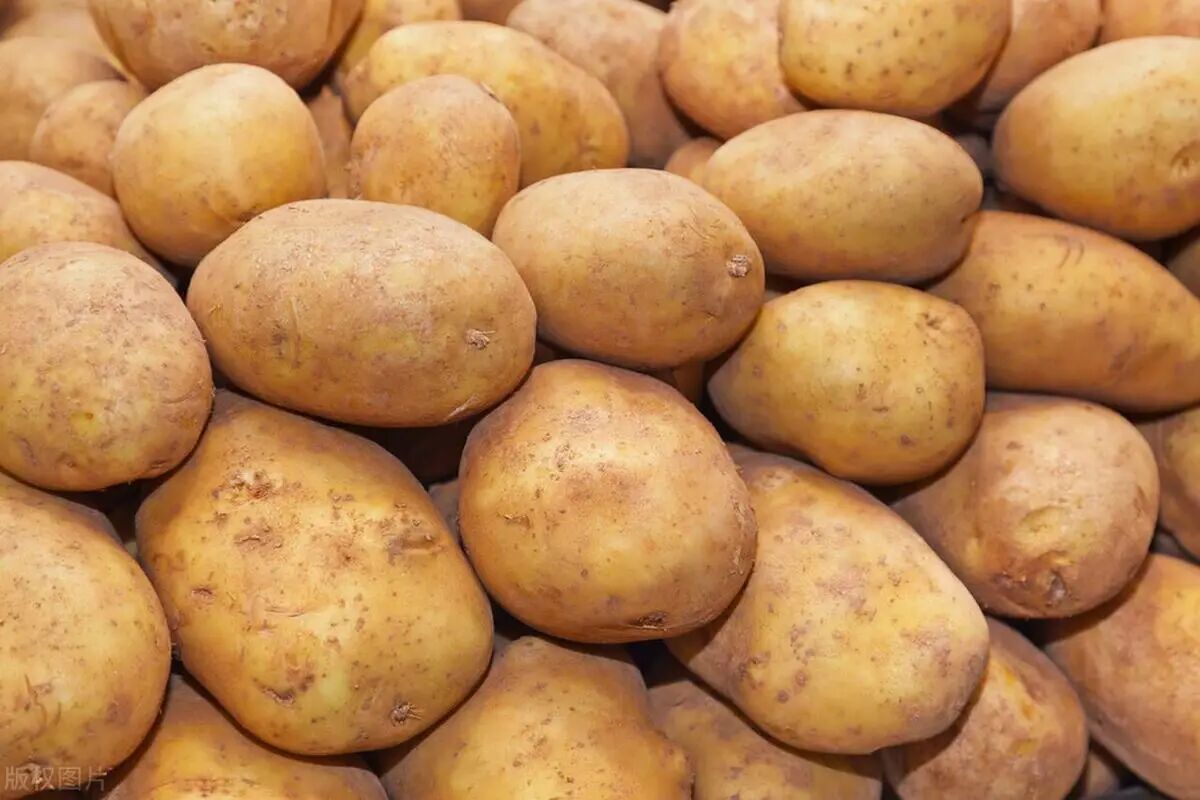 土豆怎么削皮