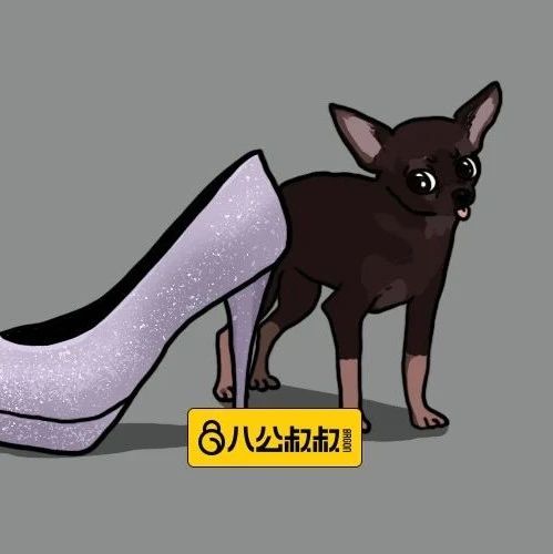 最牛气的爱宠领域大比拼，来看看你家宠物的水平如何？