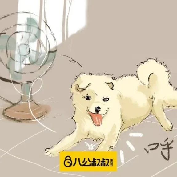 热得演技都增加了，还不给狗子上空调？