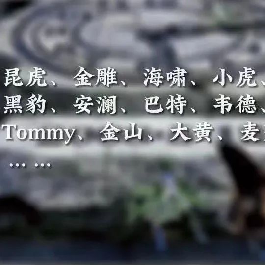 可惜！已全部离世……