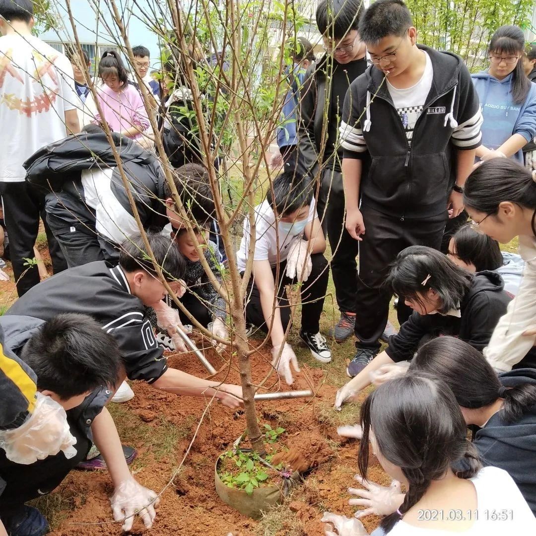 cover_image