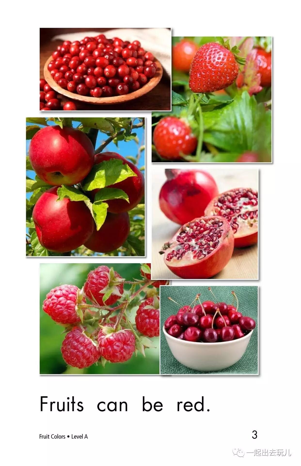 Fruit Colors_RAZ分级阅读_免费在线阅读收听下载 喜马拉雅