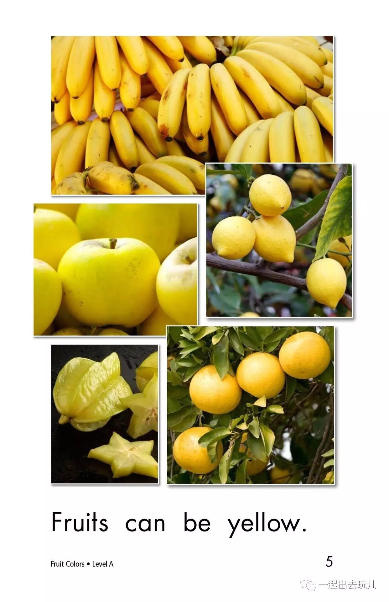 Fruit Colors_RAZ分级阅读_免费在线阅读收听下载 - 喜马拉雅