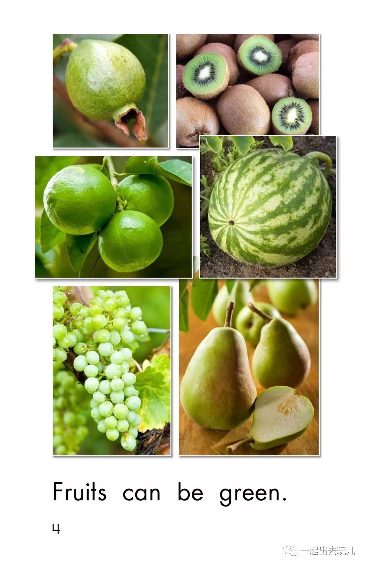 Fruit Colors_RAZ分级阅读_免费在线阅读收听下载 - 喜马拉雅