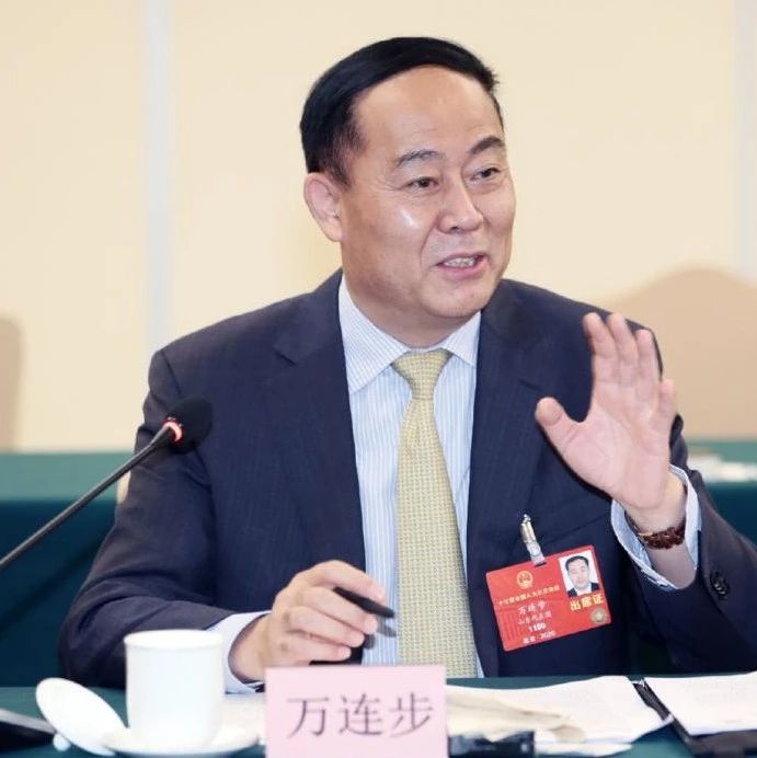 证监会1号罚单来了！231亿财务造假才罚这么点儿……