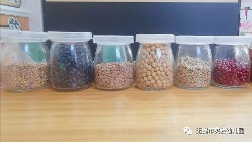 课程采风 | 孩子们的“植物研究所”-幼师课件网