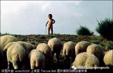 标题党想必大家都不陌生，那种让人恨得牙痒痒却又忍不住点点点的感觉，太深刻！非得给个正儿八经点的解释，就是：其主要行为简而言之即发帖的标题严重夸张，帖子内容通常与标题完全无关或联系不大。