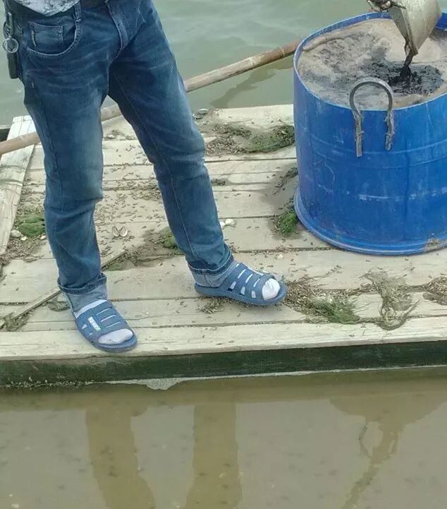 复硝酚钠在渔肥，培养小球藻和光合细菌上的应用