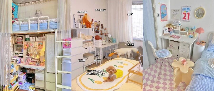 超超超实用的宿舍租房好物！好用到爆！！