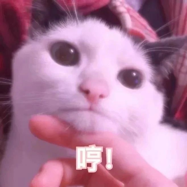 这其实不是我真是的体重，你们要相信我！