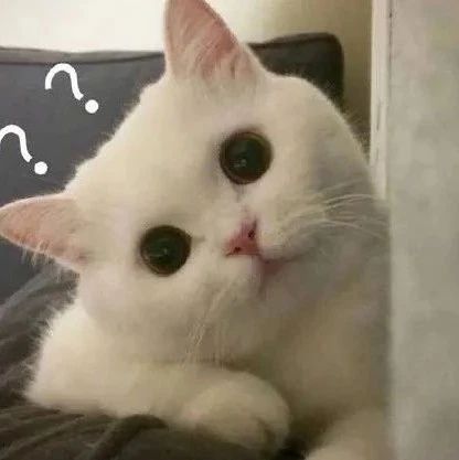 那位大神告诉我这是什么车？