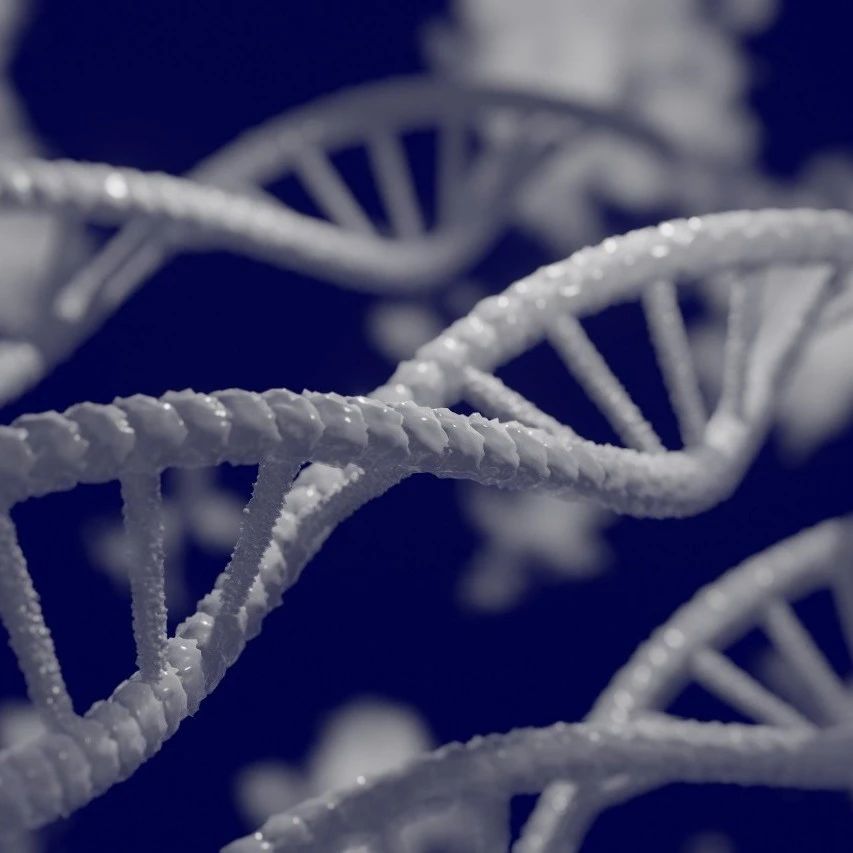 肠道微生物群的控制能否成为炎症性肠病的未来治疗选择？