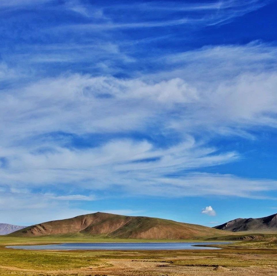 cover_image