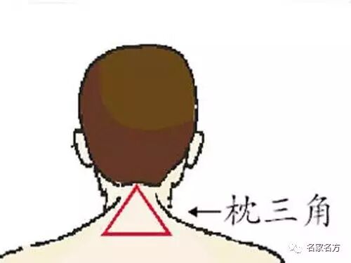 人体十大黄金三角区，养好了，百病不扰！