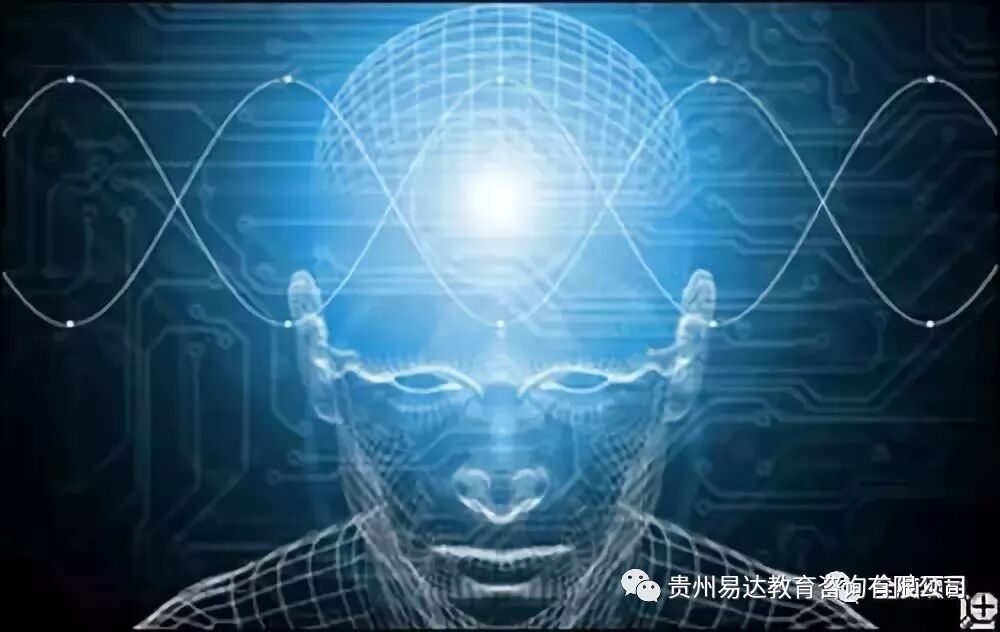 阿尔法波你知道多少？