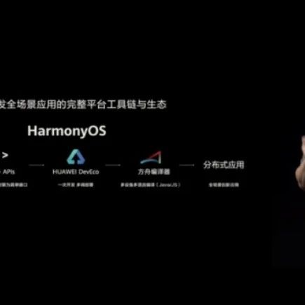 华为鸿蒙领路人王成录被曝离职，或将加入深开鸿继续鸿蒙研发