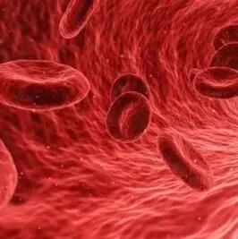 Nature：科学家开发出一种能促进造血干细胞更加健康的新型策略！