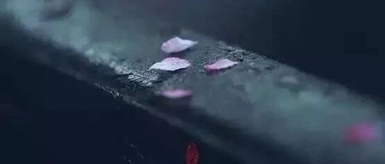 酒有七不喝，财有三不发，话有三不说……