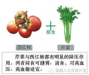 千金难买这张表，为了健康收藏好！