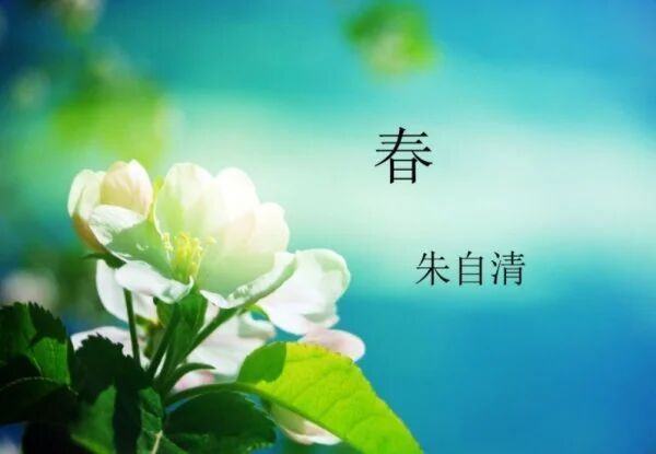 【湿地课堂】刘艳红： 《跟着<春>学写景》课堂微镜头