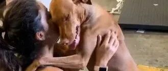 狗狗三个月没见到铲屎官会有什么反应？狂奔而去，相拥而泣，紧紧抱着主人绝对不撒手...