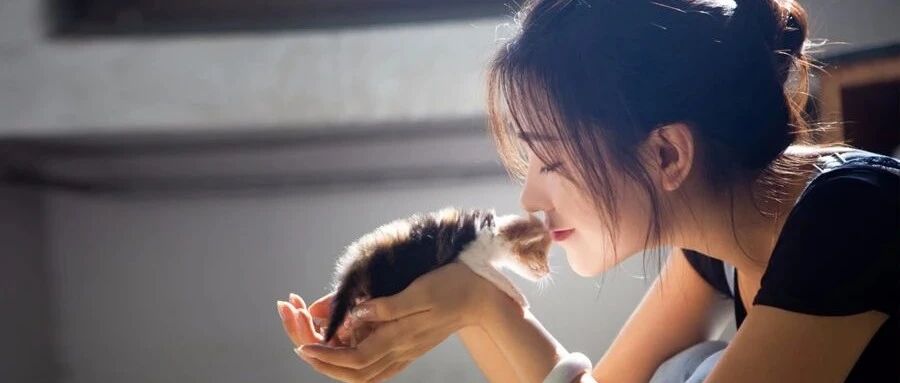 有本事的女人，和没本事的女人（精辟）