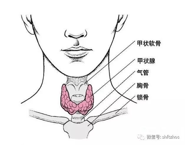 上海外高桥保税区医疗保健中心