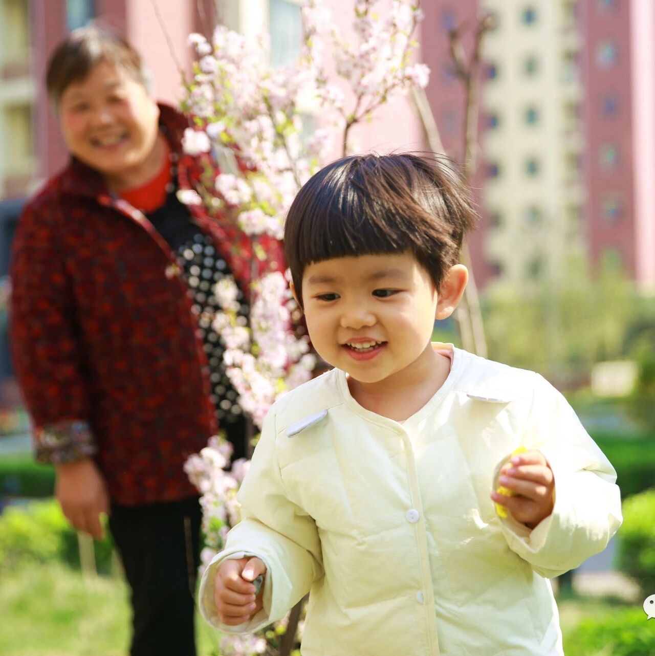 cover_image