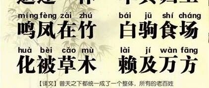 cover_image