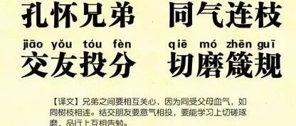 cover_image