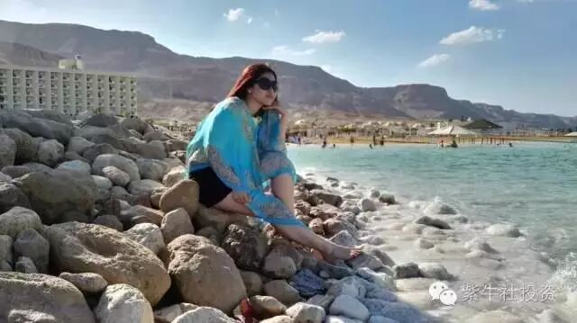 紫牛创业195讲|创业导师周杰与你一对一把脉问诊