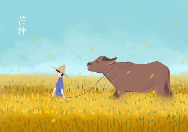 【创澳分享】芒种时节，梅雨湿热！畜禽养殖...