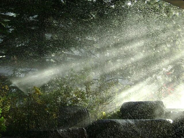 【创澳原创】植物精油除臭液在养殖场应如何...