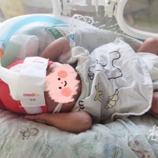 刚出生的双胞胎还在ICU，28岁丈夫就因胃癌匆匆离世……今天，杭州这位妈妈牵动了很多人的心！最新救助情况来了
