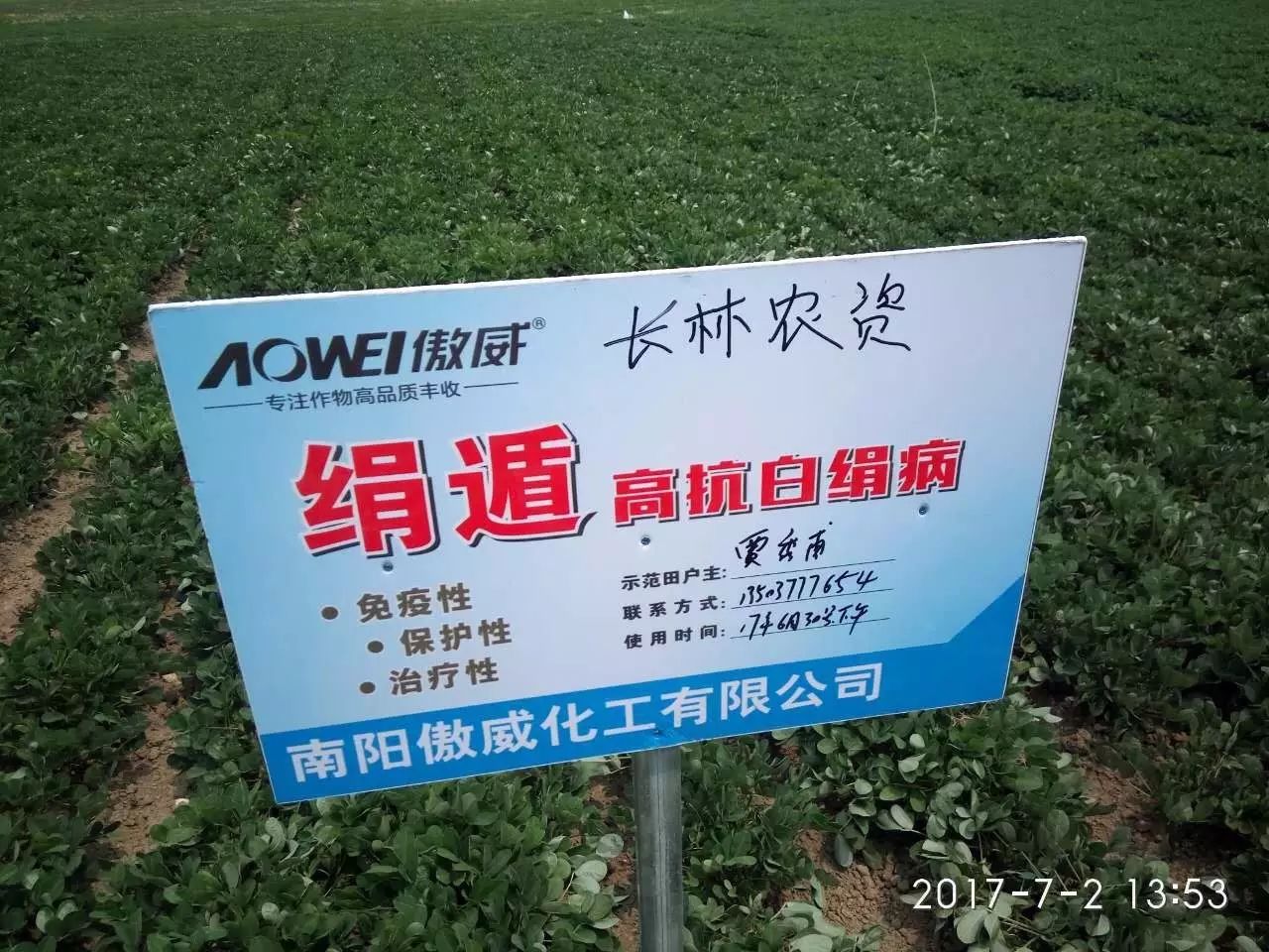 绢遁—花生白绢病克星|植保课堂-南阳傲威化工有限公司