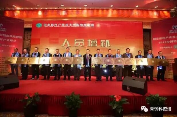 15154697232634595 - 副本.jpg