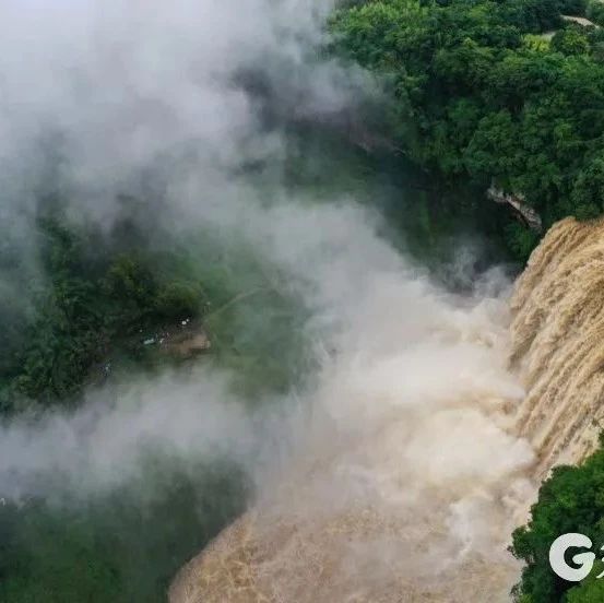 震撼！黄果树瀑布迎来今年最大水量，场面蔚为壮观→