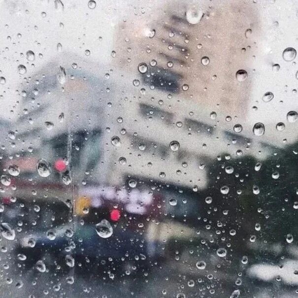 雨伞 | 木纹印记