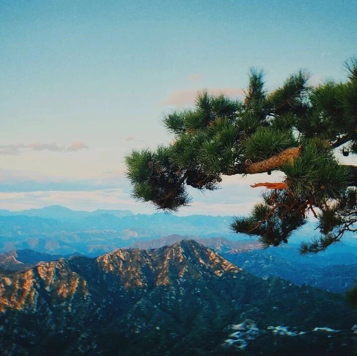 秋山