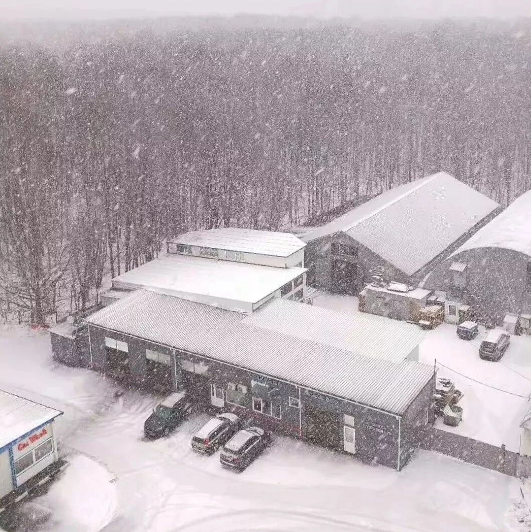 雪