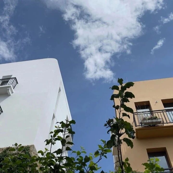 夏日札记