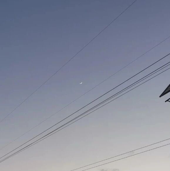 迷途不知返