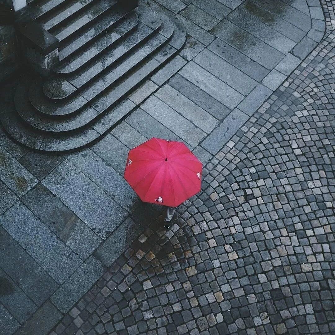 年轻的心