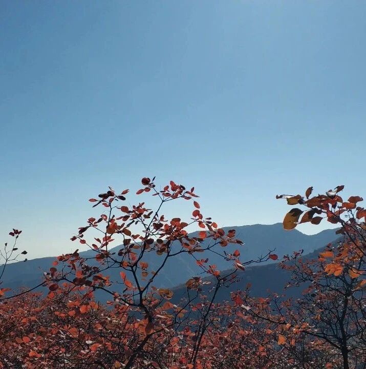 旋涡