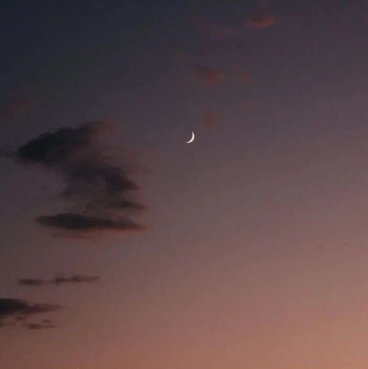 适应
